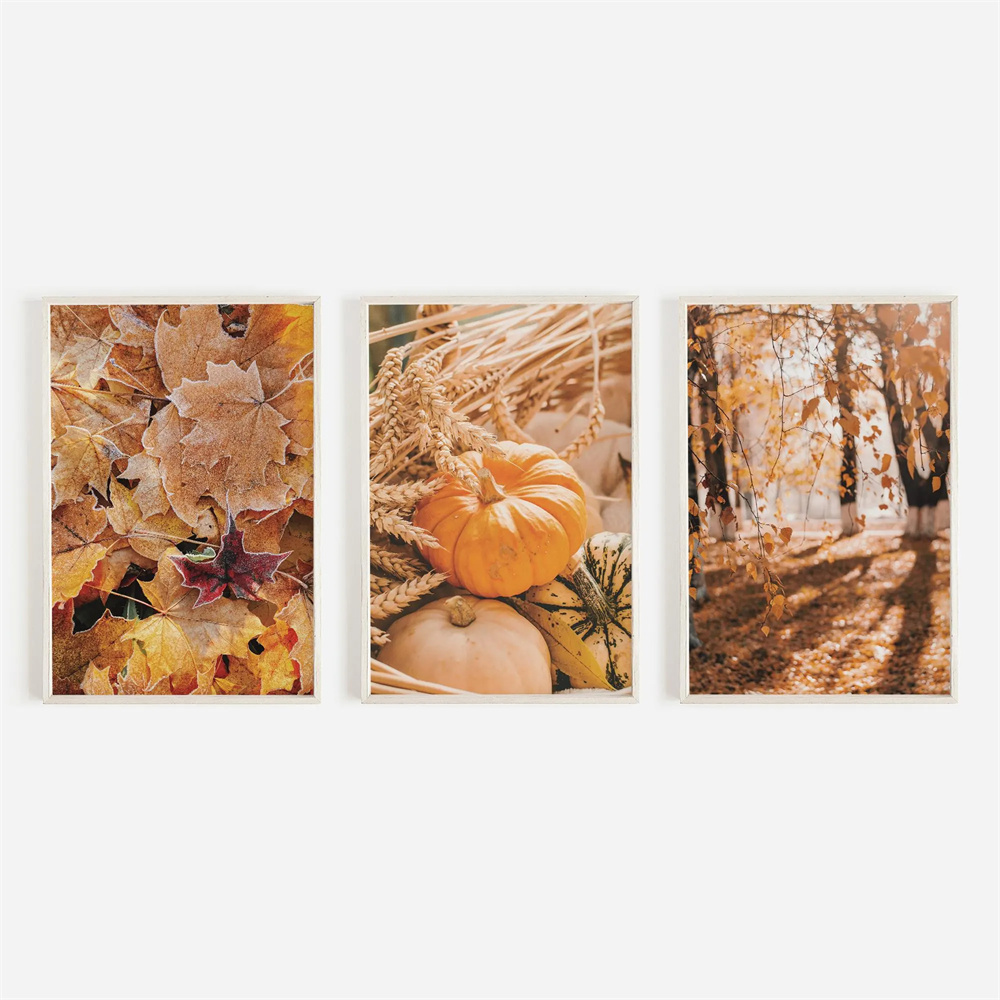 Abstract Canvas Set - Juego de 3 impresiones decorativas sin